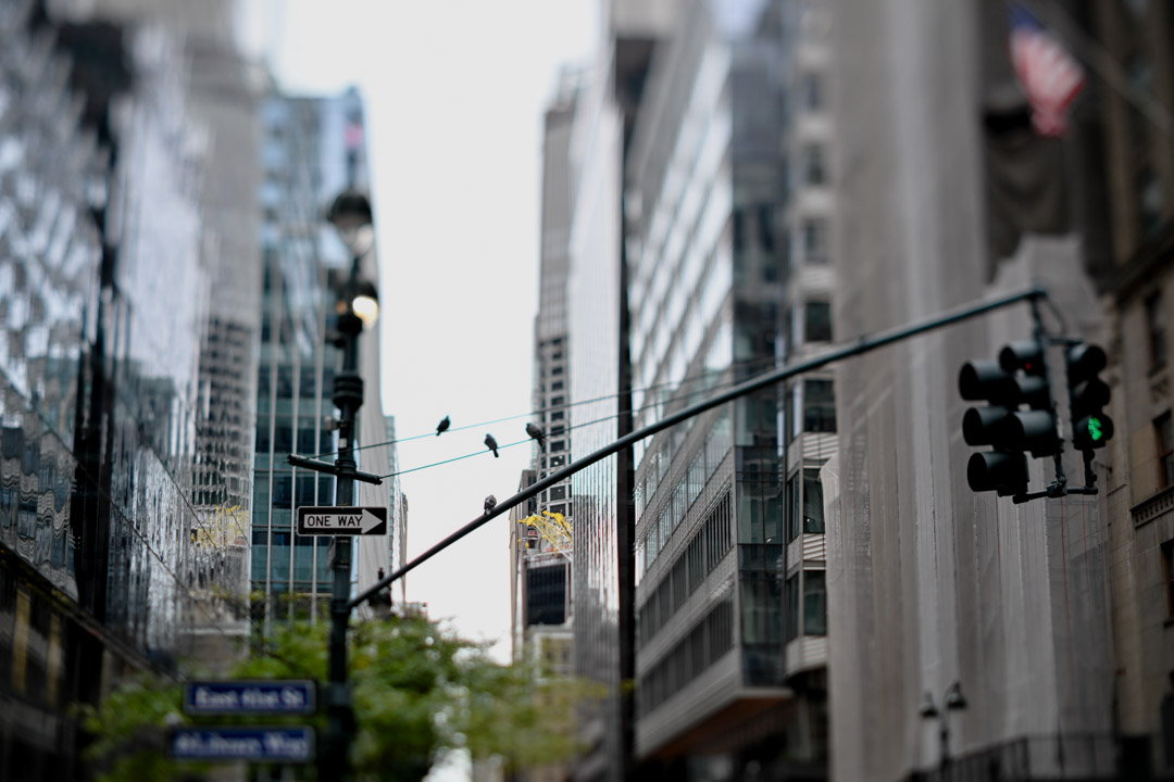 Traffic lights and street signs framed by Manhattan buildings